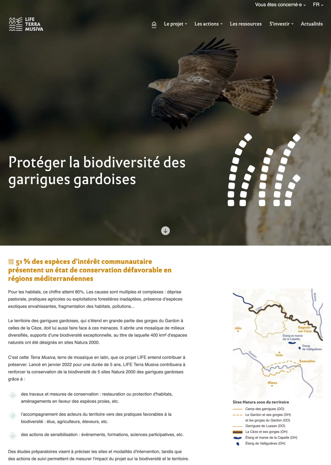 Développement.